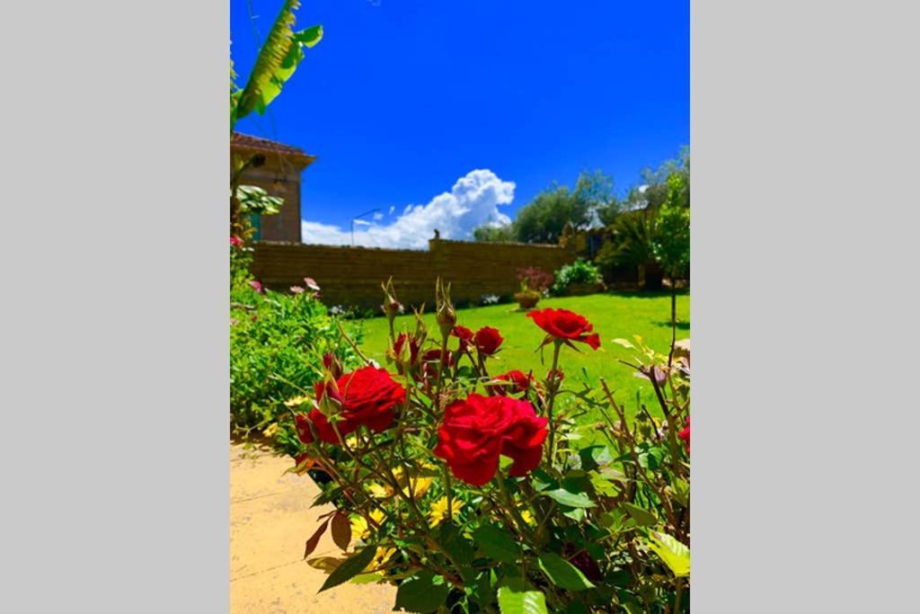 Flowery House Miglianico Exterior photo